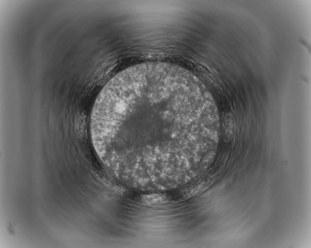 X0000097810511200804110954