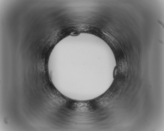 X0000097810512200804110954