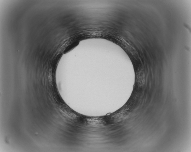 X0000097810516200804110954