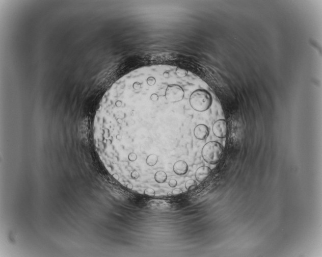 X0000097810519200804110954