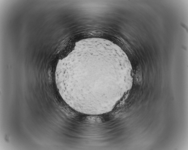 X0000097810520200804110954