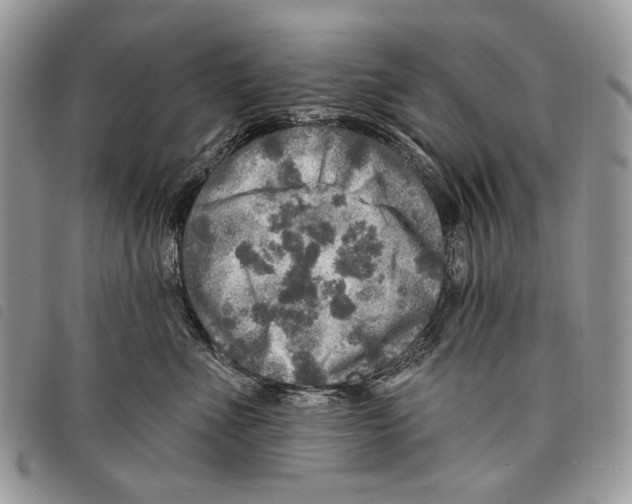 X0000097810523200804110954