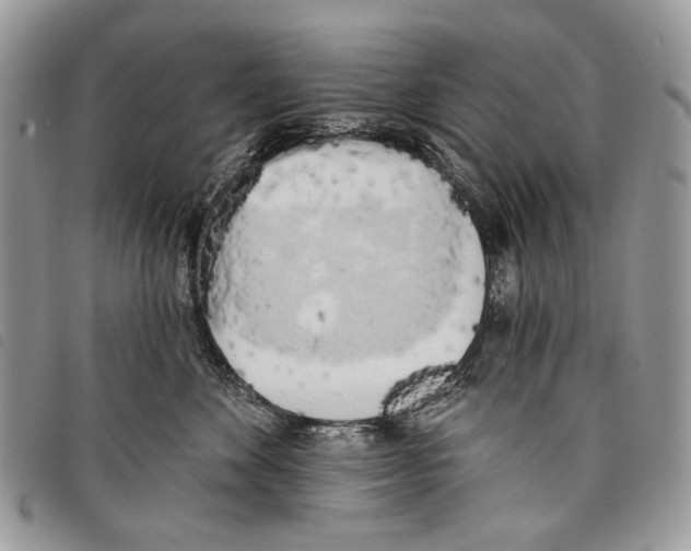 X0000097810524200804110954