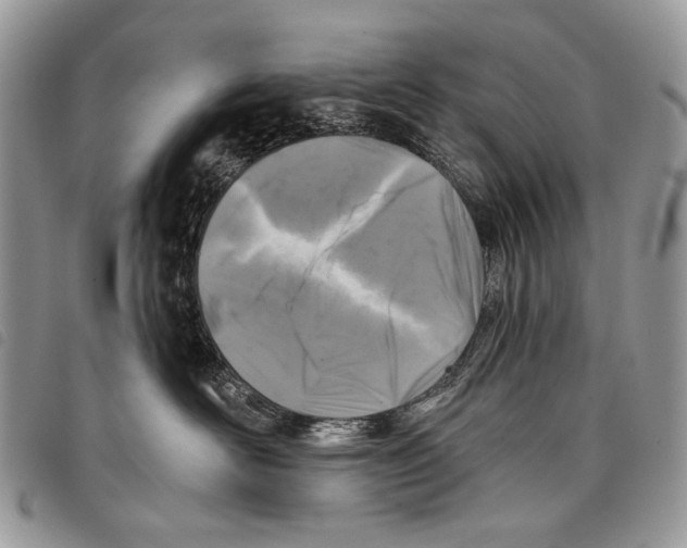 X0000097810526200804110954