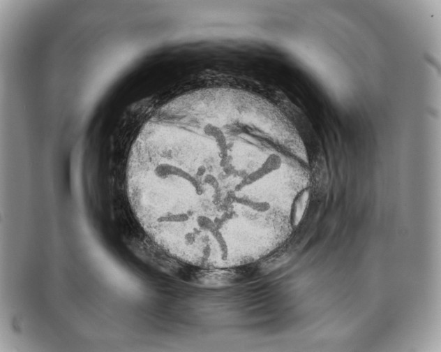 X0000097810527200804110954