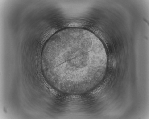 X0000097810529200804110953