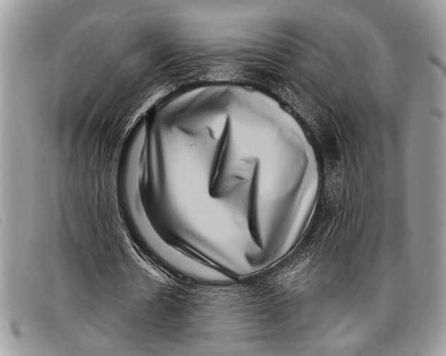 X0000097810530200804110953