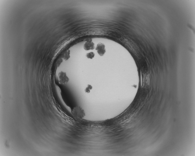 X0000097810531200804110953