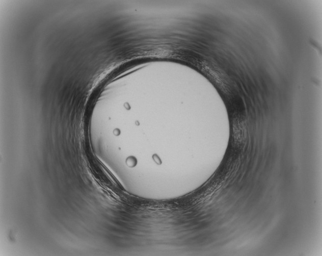 X0000097810532200804110953