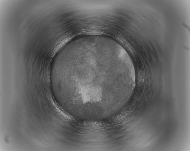 X0000097810533200804110953