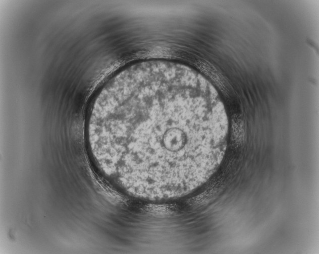 X0000097810534200804110953