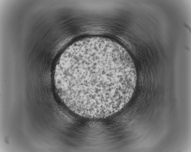 X0000097810535200804110953