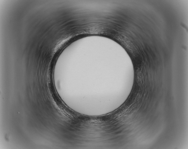 X0000097810536200804110953