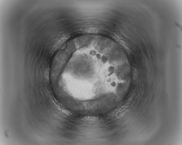 X0000097810537200804110953