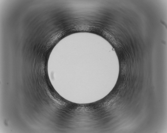 X0000097810538200804110953