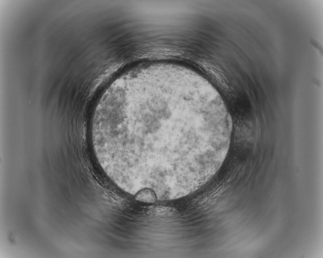 X0000097810539200804110953