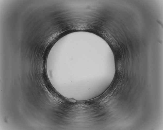 X0000097810540200804110953