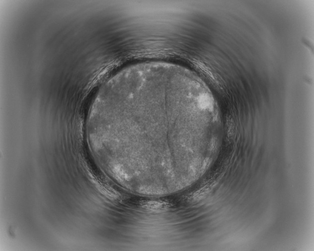 X0000097810542200804110953