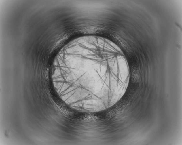 X0000097810543200804110953