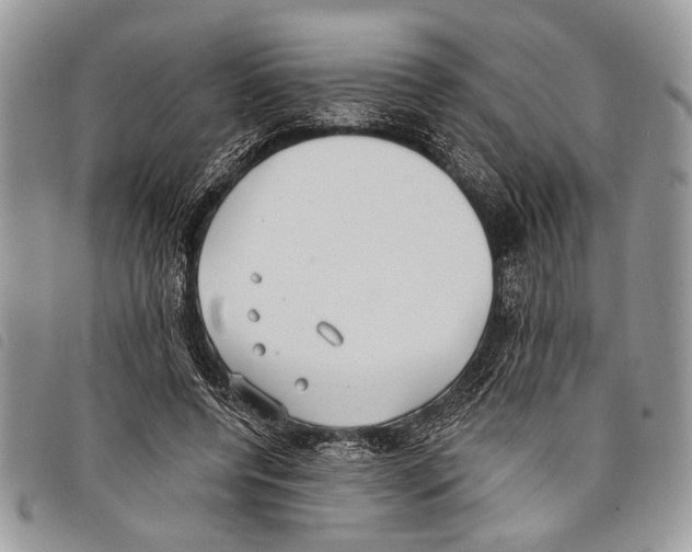 X0000097810544200804110953