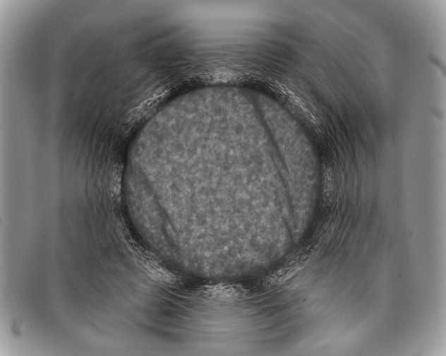 X0000097810545200804110953