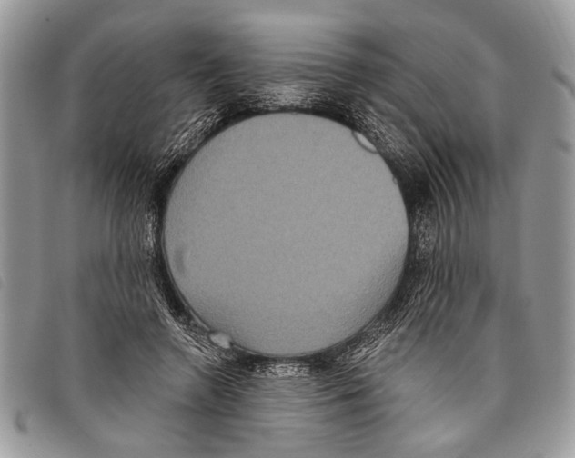 X0000097810546200804110953