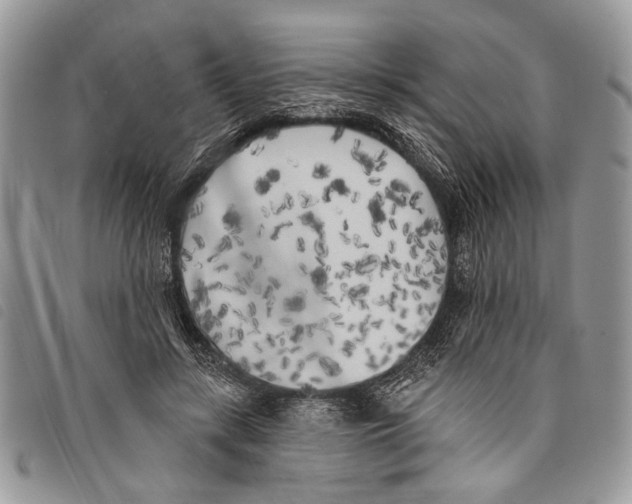 X0000097810547200804110953