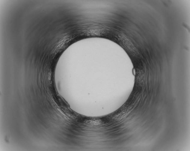 X0000097810548200804110953