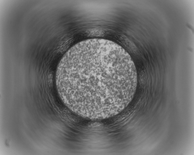 X0000097810551200804110953