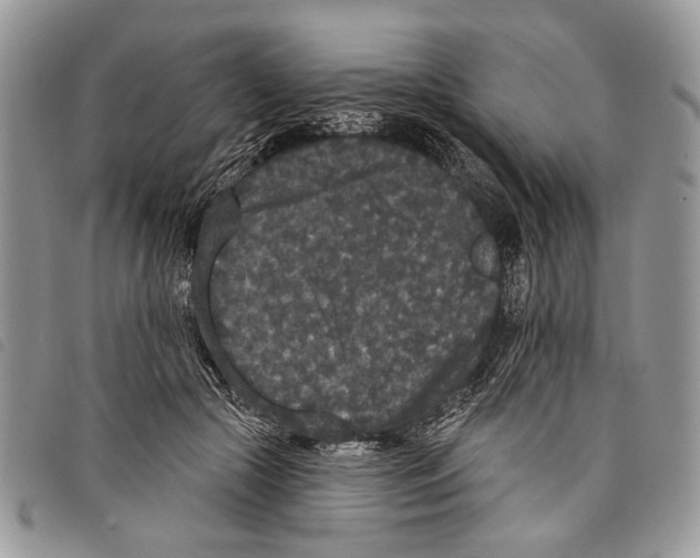 X0000097810553200804110953