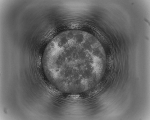 X0000097810554200804110953