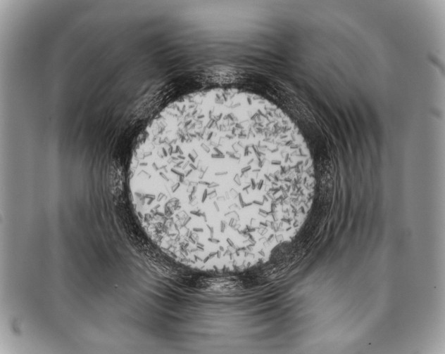 X0000097810555200804110953