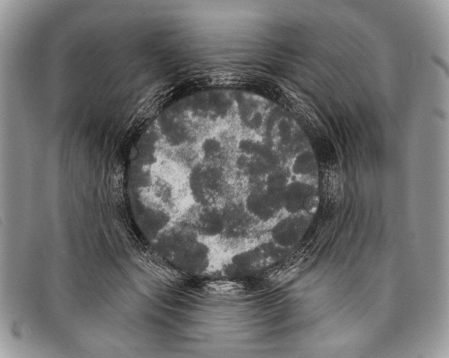 X0000097810557200804110953