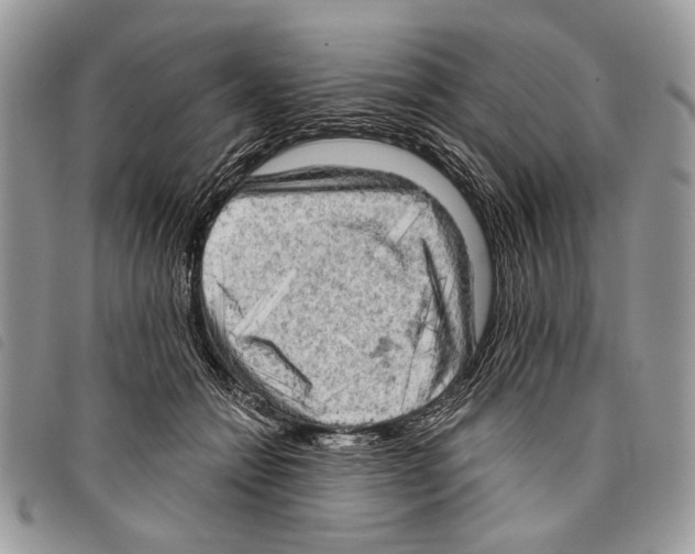 X0000097810558200804110954