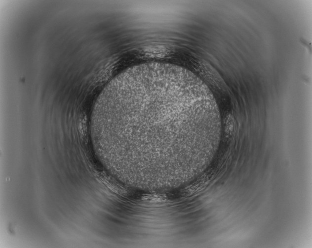 X0000097810559200804110954