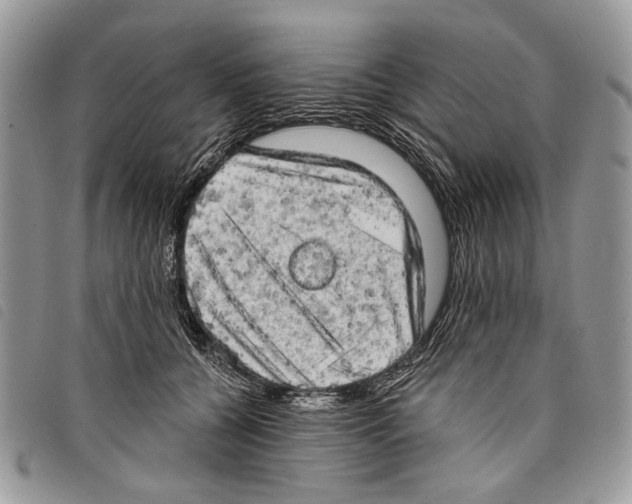 X0000097810560200804110954