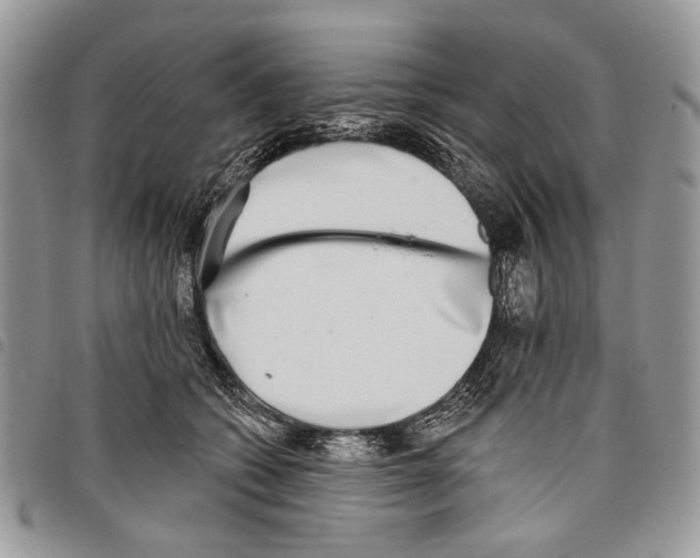 X0000097810562200804110954