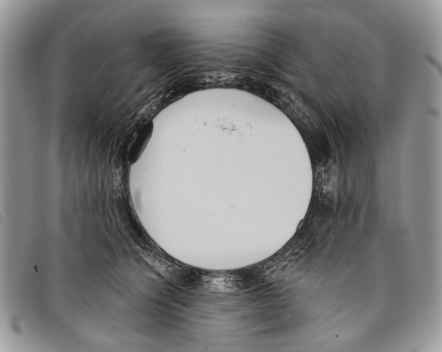 X0000097810564200804110954