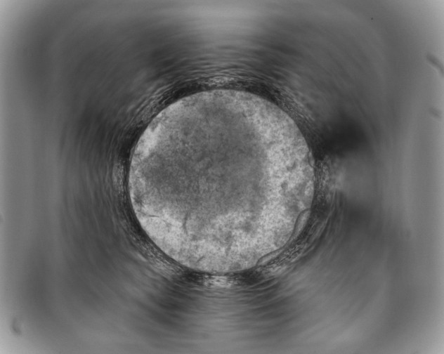 X0000097810565200804110954