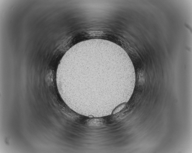 X0000097810567200804110954