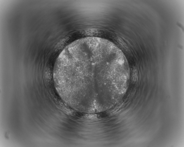 X0000097810569200804110954