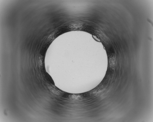 X0000097810570200804110954