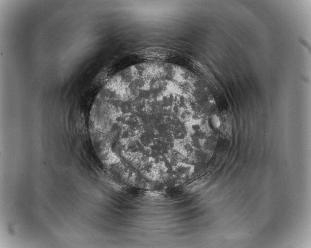 X0000097810573200804110954