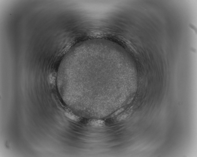 X0000097810576200804110954