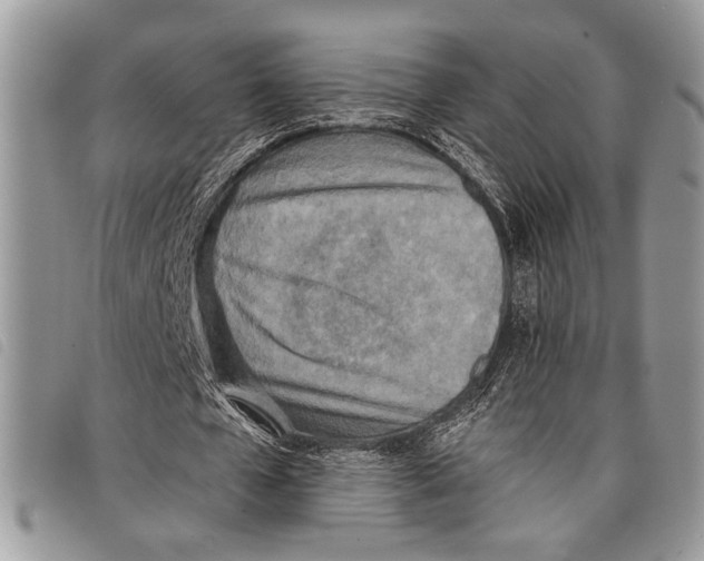 X0000097810577200804110953