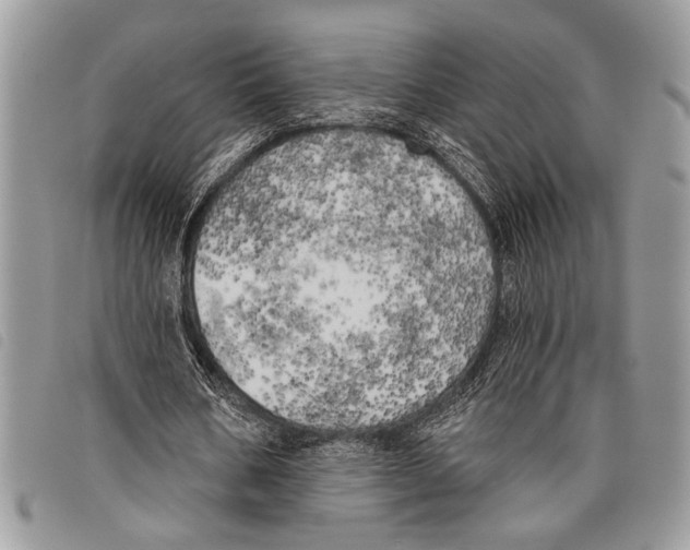 X0000097810578200804110953