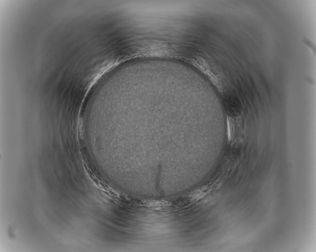 X0000097810579200804110953