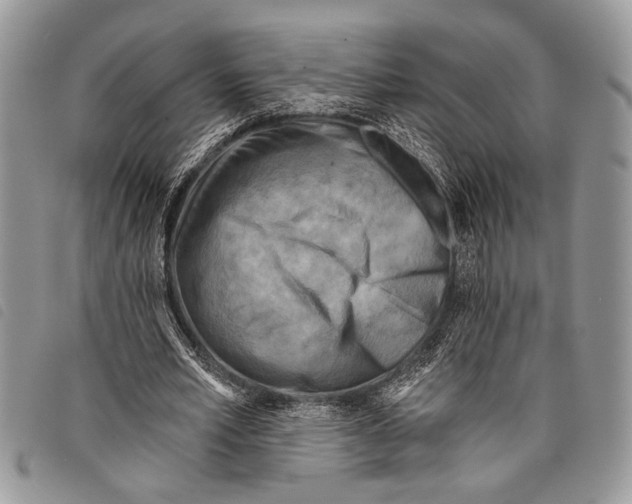 X0000097810581200804110953