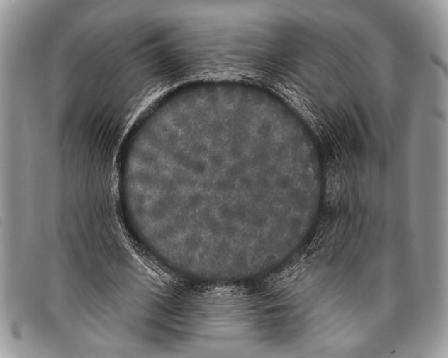 X0000097810584200804110953