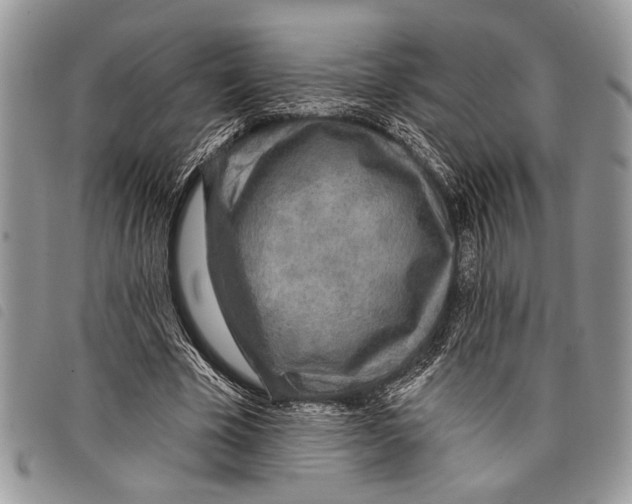 X0000097810585200804110953